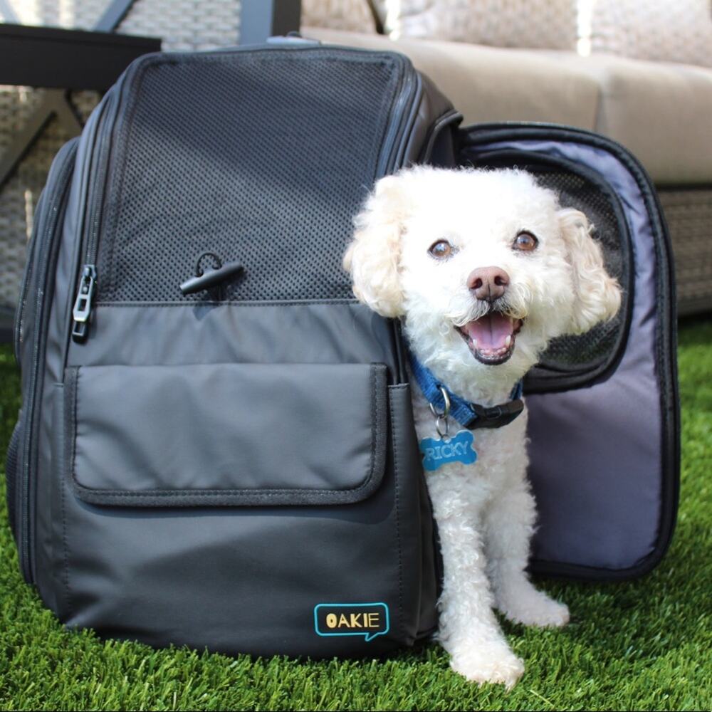 Airline Pet Carrier Backpack Small Dog Cat Hiking Travel Bag 20lb NEW - Picture 7 of 7